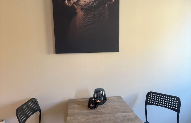 Notodden Sentrum Apartment NO 4 - Foto 16