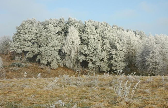 Agroturystyka u przyjaciol Soni - Foto 52