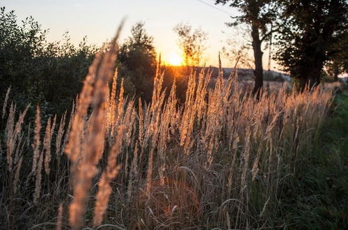 Foto 50 - Agroturystyka u przyjaciol Soni