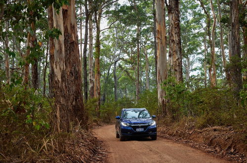 Foto 46 - RAC Margaret River Nature Park