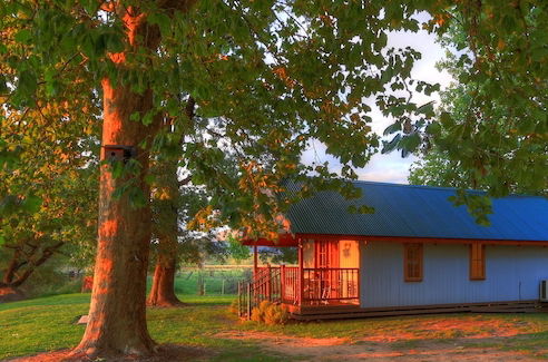 Photo 13 - Colac Colac Caravan Park