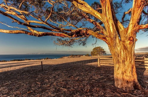 Photo 49 - Antechamber Bay Retreats