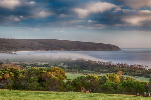 Photo 51 - Antechamber Bay Retreats