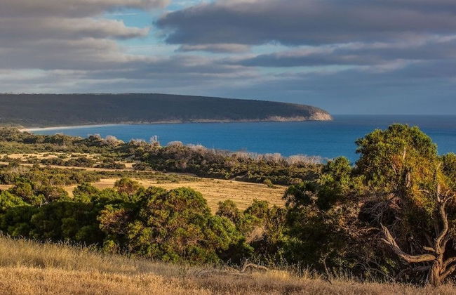 Antechamber Bay Retreats - Foto 48