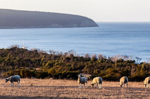 Photo 50 - Antechamber Bay Retreats