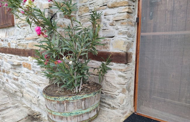 Lovely 4-bed House in Kosti - Foto 24