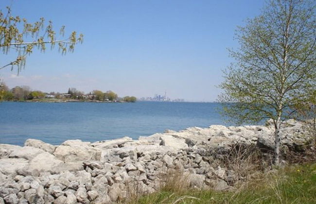 Humber College Lakeshore Campus Residence - Foto 18