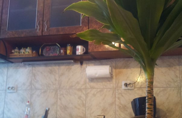 Varna Apartments - Foto 11
