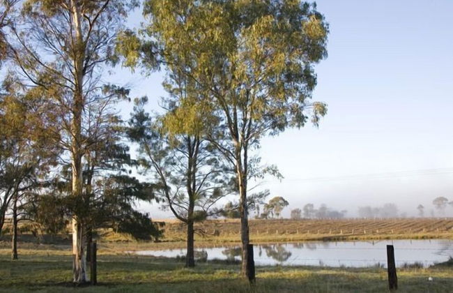 Talga Vines Vineyard Escape - Photo 17