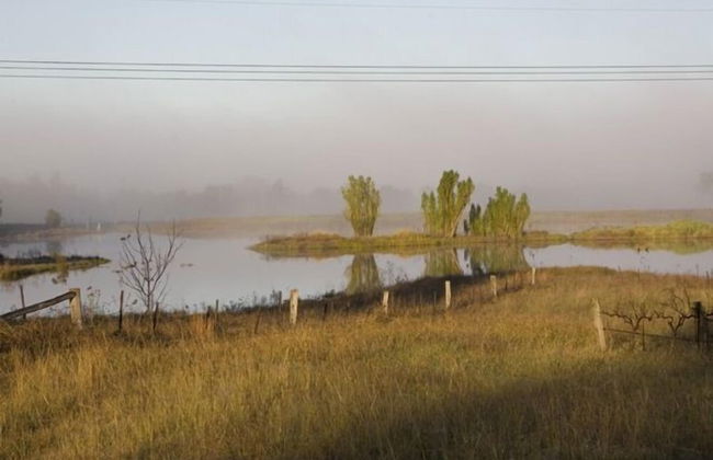 Talga Vines Vineyard Escape - Photo 13