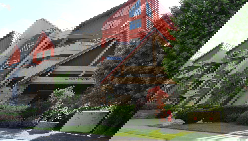 Primary image