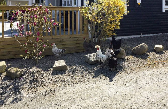 Holiday Home in Sölvesborg - Foto 13