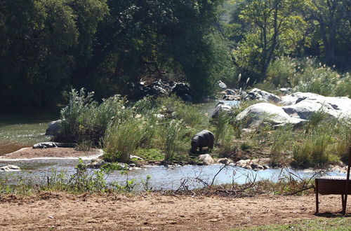 Photo 21 - Ekuthuleni River Front Chalets