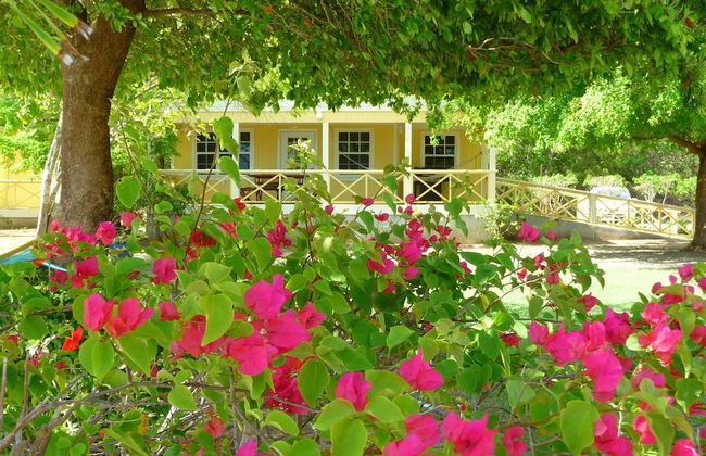 Yepton Estate Cottages - Foto 47