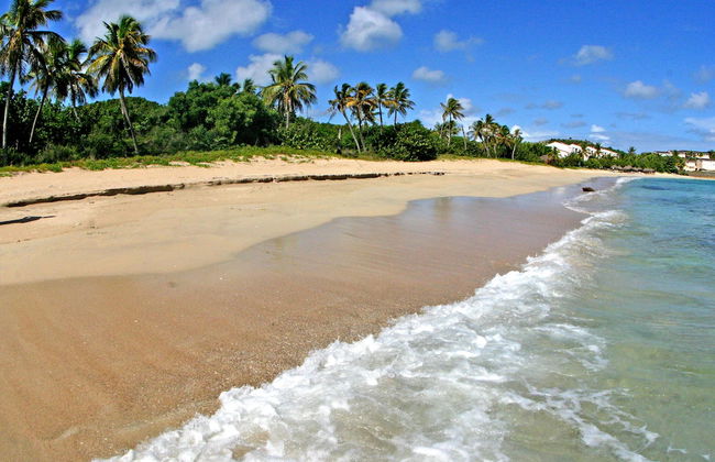 Yepton Estate Cottages - Foto 1