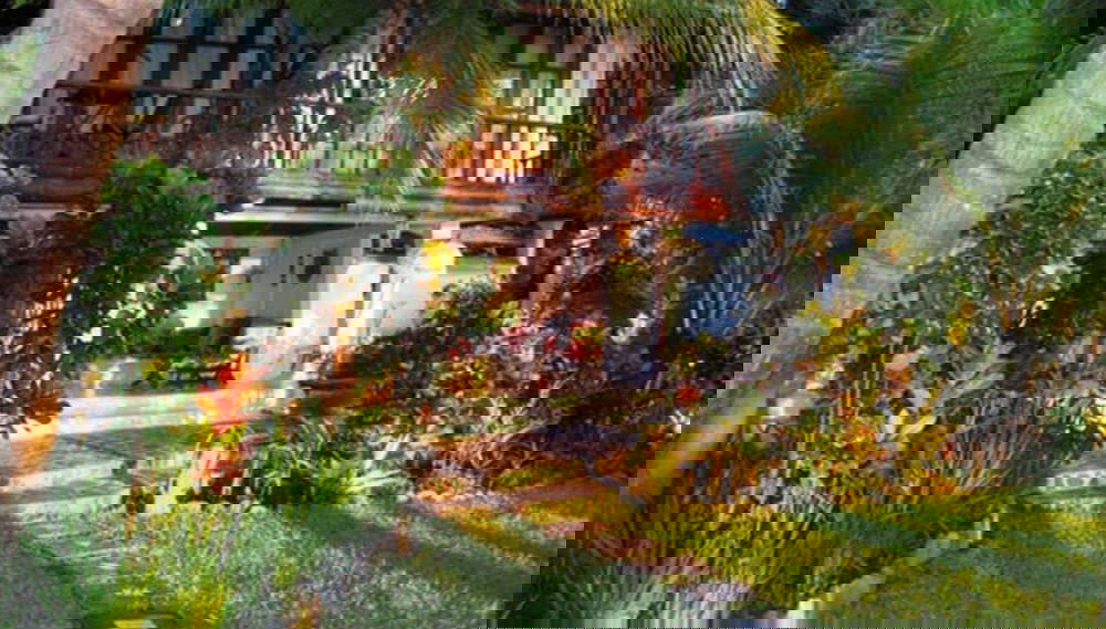 Imagem principal