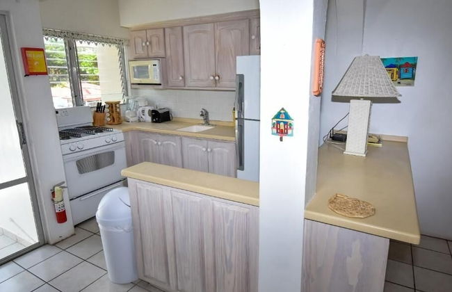 Antigua Village - Condo 10S - Foto 28