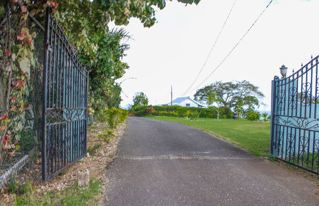 Rica Vista Beach Cottages - Photo 23