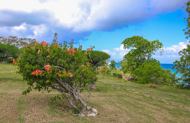 Rica Vista Beach Cottages - Photo 22