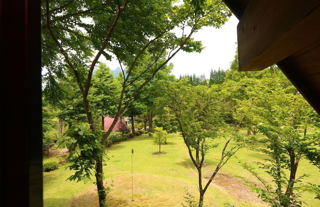 Kizin - Foto 10