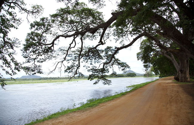 Naturehawks Safari Villa Yala - Foto 16