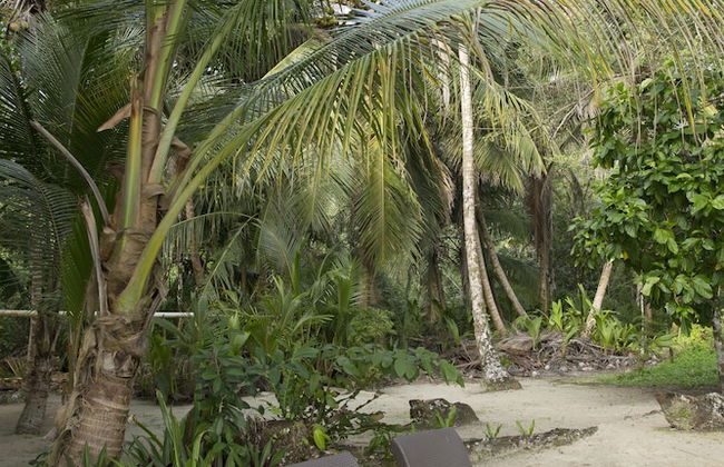 Residencia Natural - Foto 34
