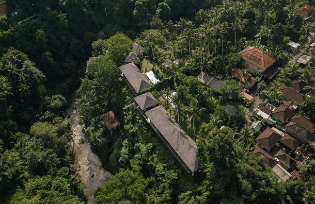 Bedulu Cliff Estate Ubud - Tree Top - Foto 68