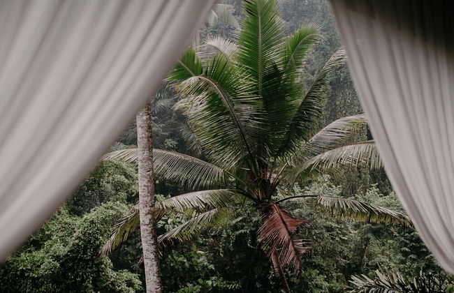 Bedulu Cliff Estate Ubud - Tree Top - Foto 60