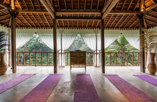 Bedulu Cliff Estate Ubud - Tree Top - Foto 62