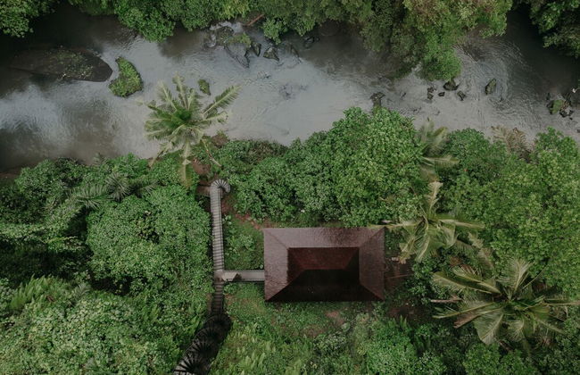 Bedulu Cliff Estate Ubud - Tree Top - Foto 74