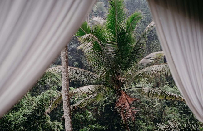 Bedulu Cliff Estate Ubud - Tree Top - Foto 69