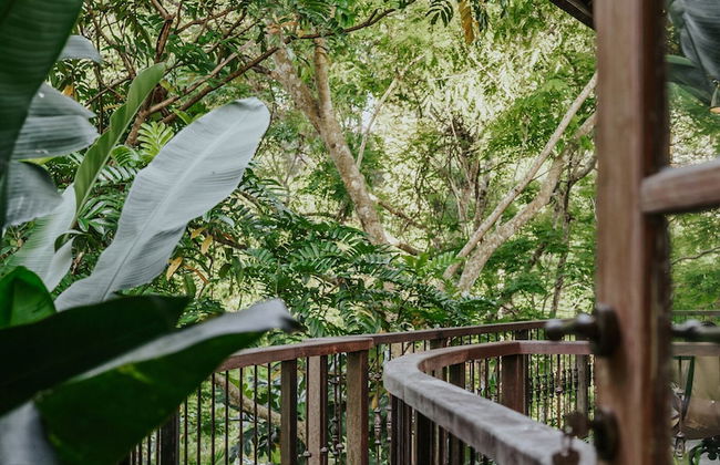 Bedulu Cliff Estate Ubud - Tree Top - Foto 72