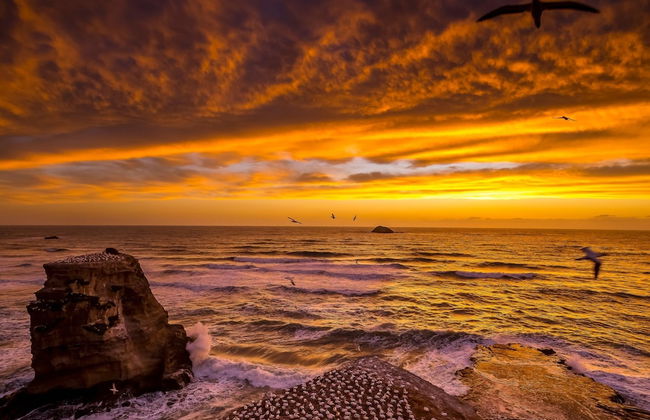 Sunset Capital Of The World - Foto 17