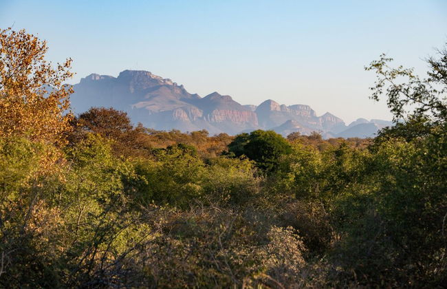 Villa Scarabee in Hoedspruit - Foto 35