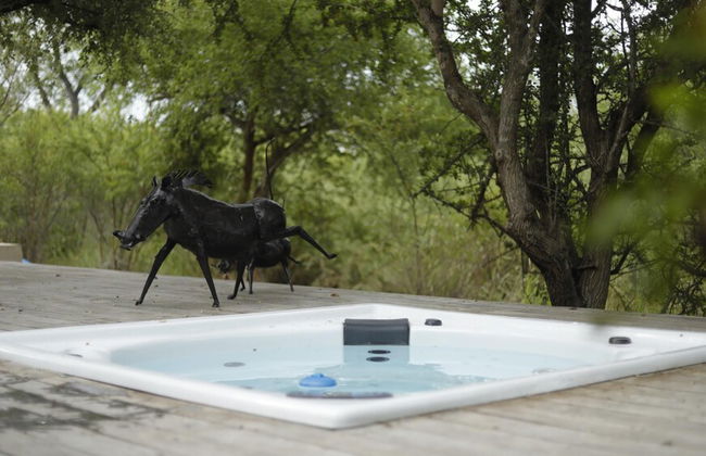 Villa Scarabee in Hoedspruit - Foto 9