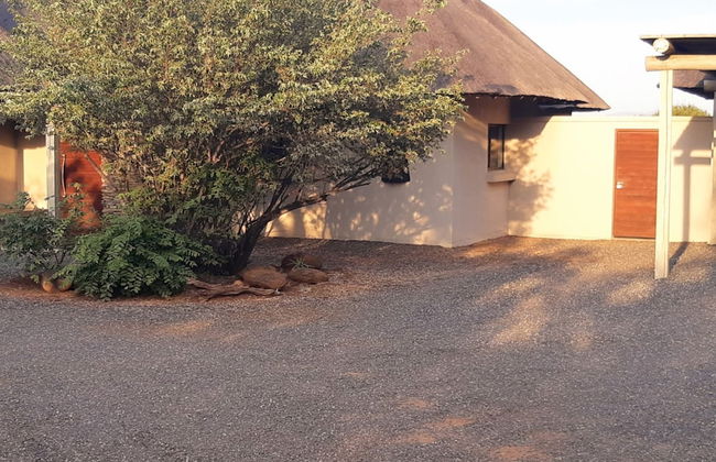 Villa Bushman Wonderful Luxury and Attractive Villa - Foto 7