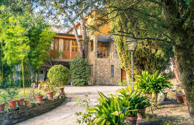 Majestic Villa in Hills of Florence with Gardens Gym Jacuzzi and Sauna - Foto 33