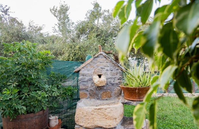 Traditional Villa in Fres - Photo 75