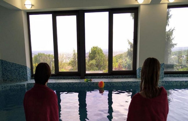 Villa Wolkenhawk - Five Bedroom Villa With Indoor Swimming Pool - Photo 28