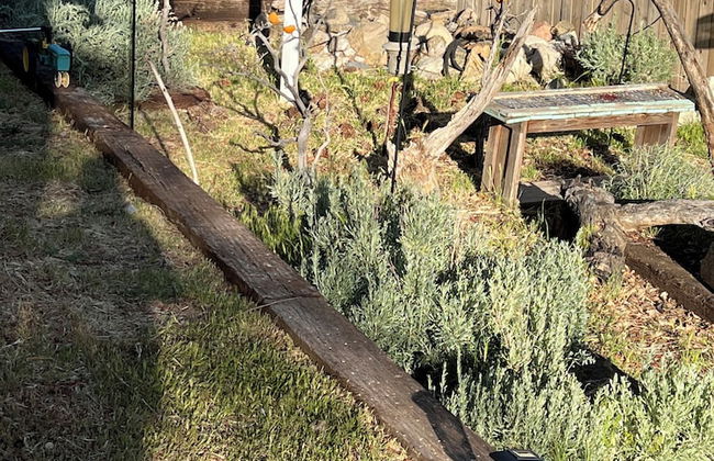 Hummingbird Mountain Cottage - Foto 40