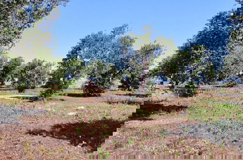 Foto 37 - Villetta Paduli - Immersa nel Verde con Vista Mare e Giardino Privato