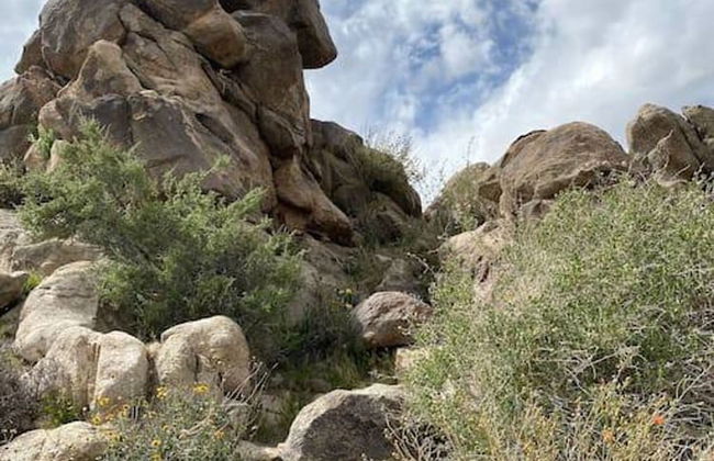 Cozy Rustic Home Minutes to Joshua Tree Nat l Park - Foto 32