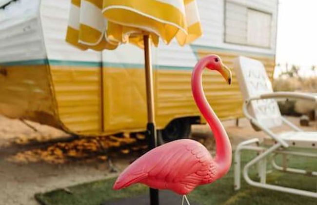 Cozy Rustic Home Minutes to Joshua Tree Nat l Park - Foto 4