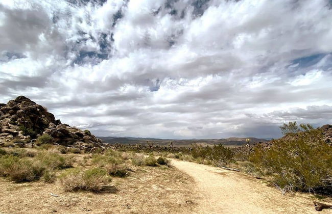 Cozy Rustic Home Minutes to Joshua Tree Nat l Park - Foto 31