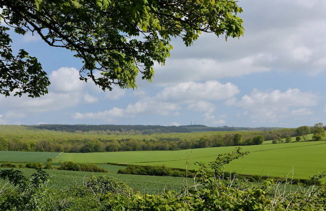 Charming Cottage for 10 in Heart of South Downs - Foto 49
