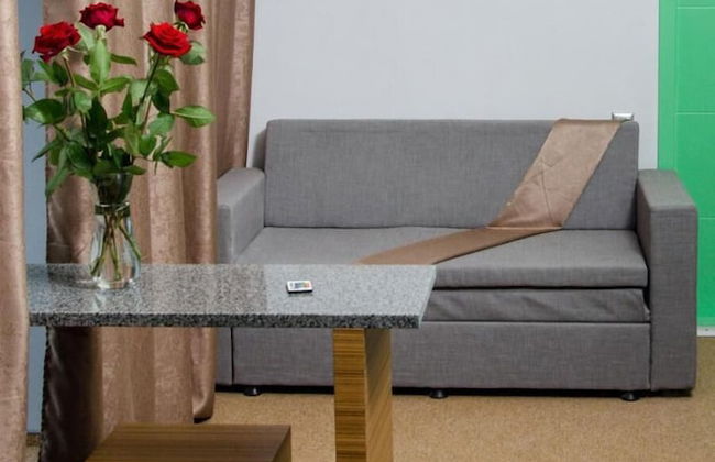 Pushkinskaya Apartments - Photo 31