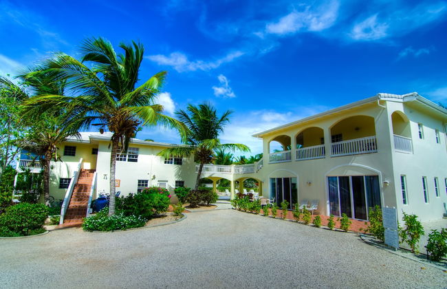 Grace Bay Beach Ocean Villas - Photo 2
