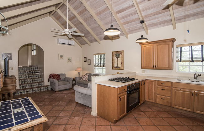 Grace Bay Beach Ocean Villas - Photo 60