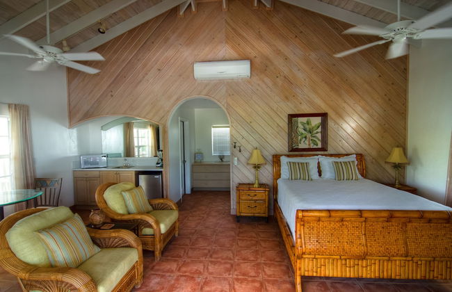 Grace Bay Beach Ocean Villas - Photo 54