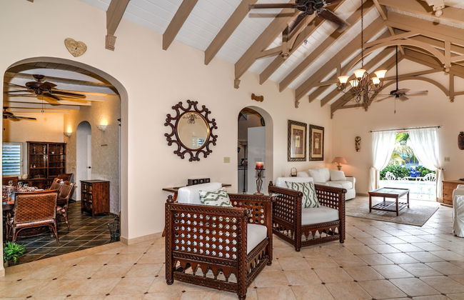 Grace Bay Beach Ocean Villas - Photo 59